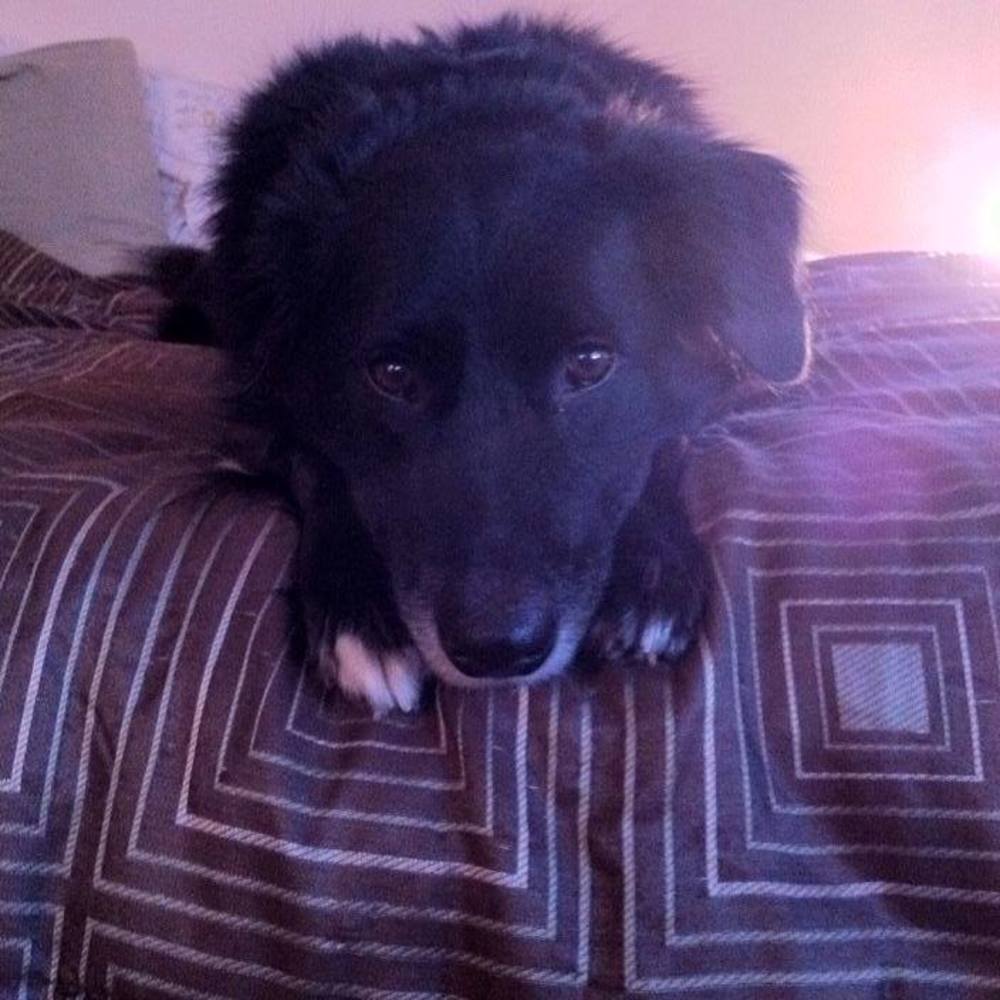 Meet your Posher, Carrie